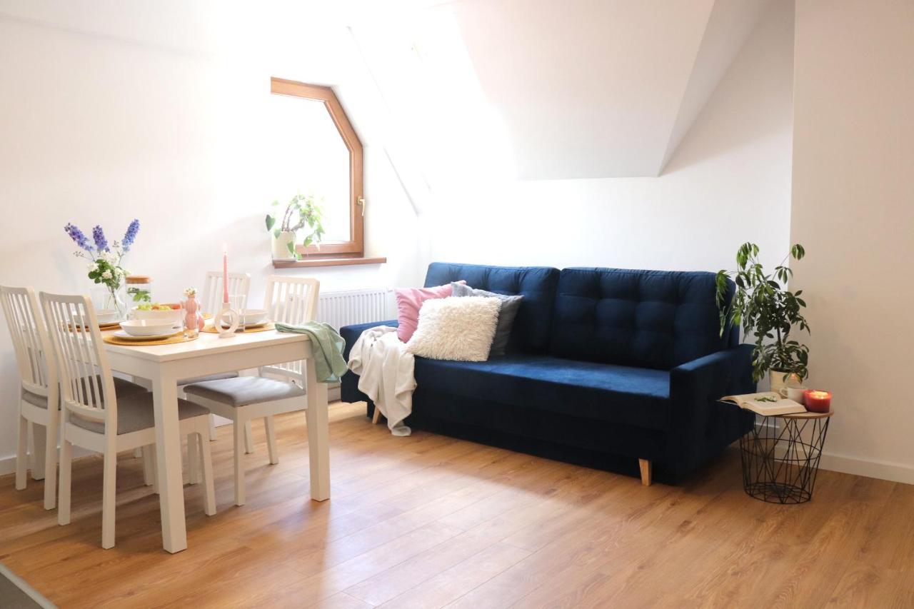 Pardalowka 50 Apartmán Zakopane